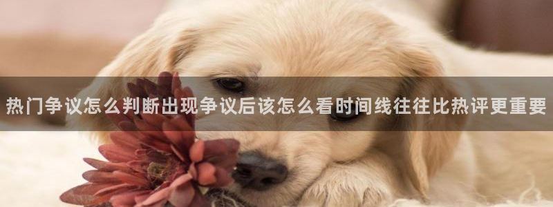 911黑料吃瓜：热门争议怎么判断出现争议后该怎么看时间线往往比热评更重要